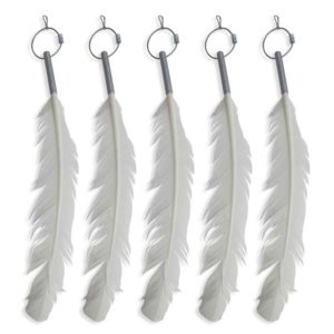 Replacement Feathers (Pack of 5)